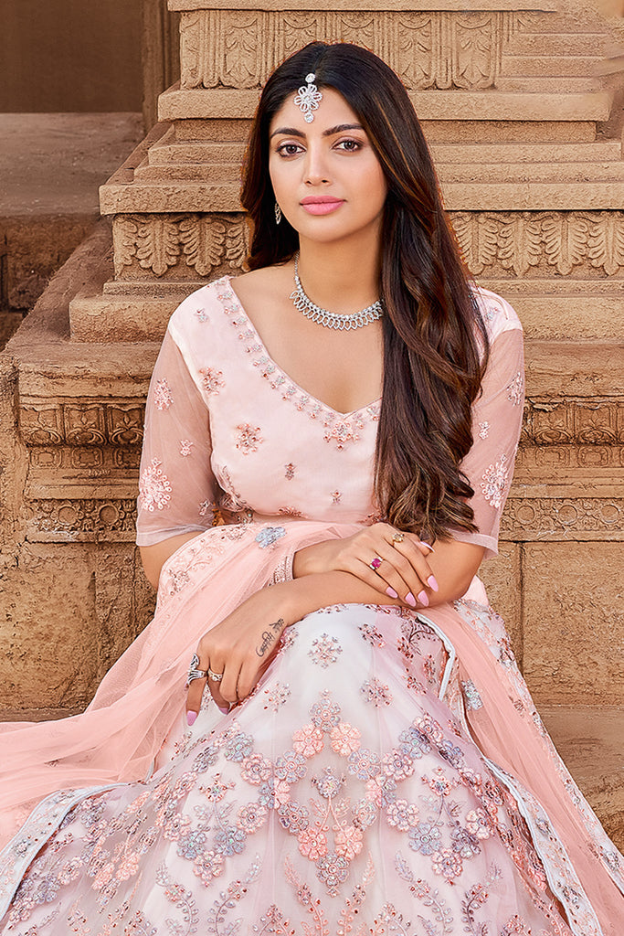 Pale Pink Net Resham Embroidered Panelled Style Lehenga