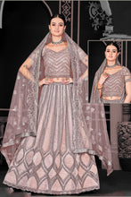 Load image into Gallery viewer, Net Dusty Pink Dori Embroidered A-line Lehenga