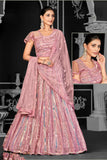 Net Sequence Pink Embroidered Flared Lehenga