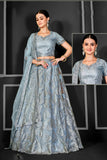 Net Light Blue Embroidered Flared Lehenga