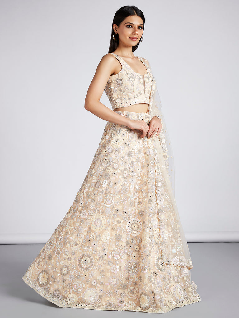 Cream Net Sequins Mirror Thread Embroidery Lehenga Choli & Dupatta